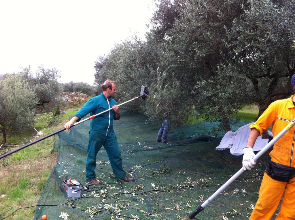 Agriturismo Casa Rosa Verona Eksteriør bilde