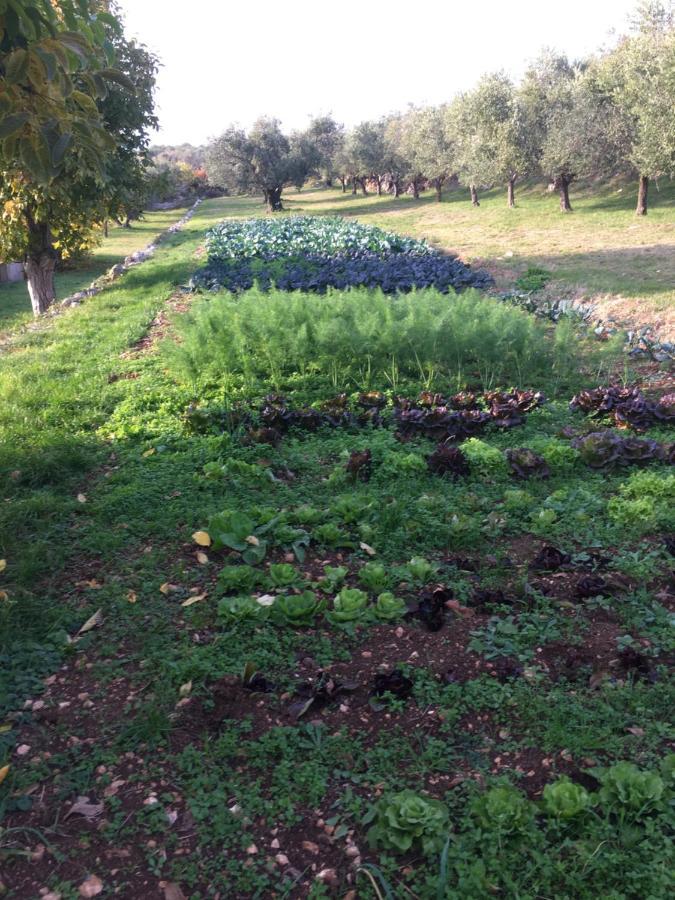 Agriturismo Casa Rosa Verona Eksteriør bilde