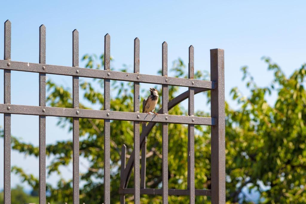 Agriturismo Casa Rosa Verona Eksteriør bilde