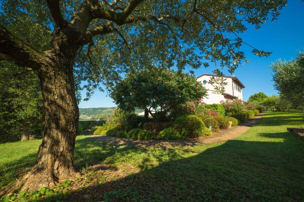 Agriturismo Casa Rosa Verona Eksteriør bilde
